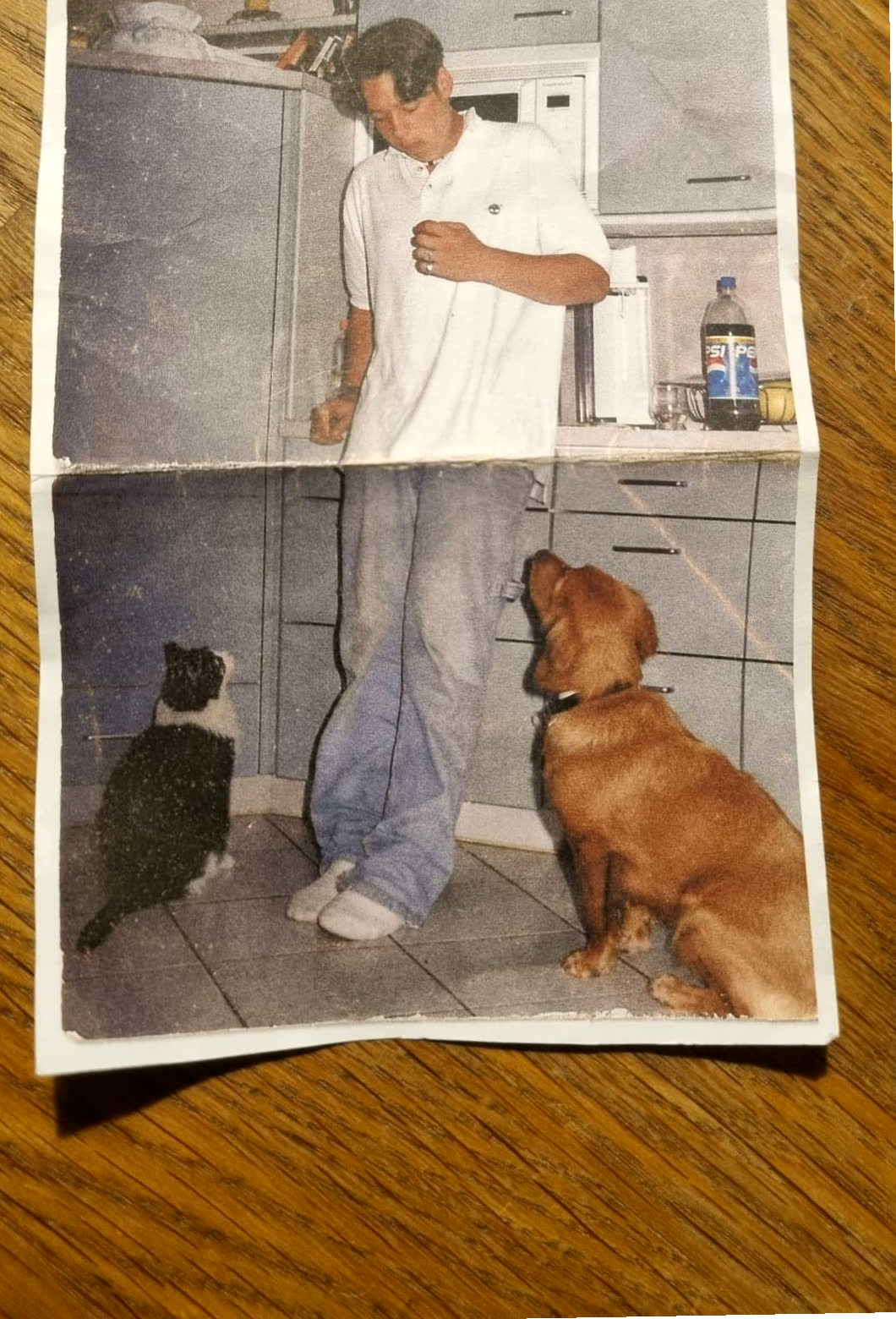 Altes Foto aus den 90ern: Daniel als Teenager, Hund und Katze schauen zu ihm hoch